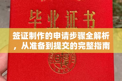 盘山签证制作的申请步骤全解析，从准备到提交的完整指南