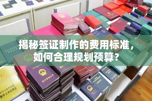 盘山揭秘签证制作的费用标准，如何合理规划预算？