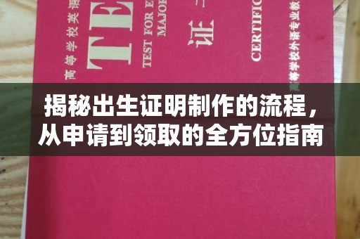 盘山揭秘出生证明制作的流程，从申请到领取的全方位指南