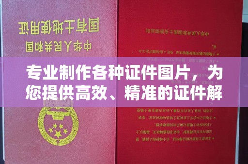 盘山专业制作各种证件图片，为您提供高效、精准的证件解决方案