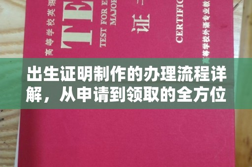 盘山出生证明制作的办理流程详解，从申请到领取的全方位指南
